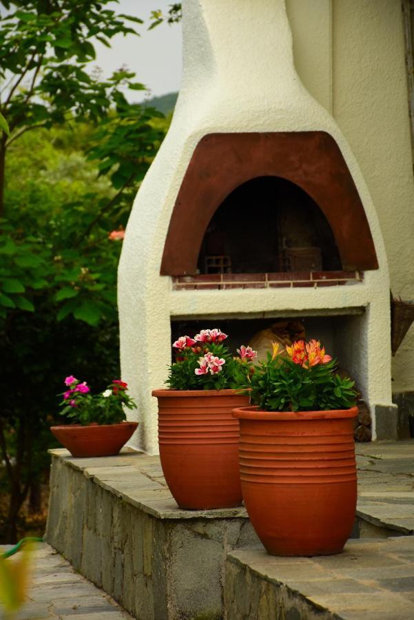 Villa Monte Kariotes Самотраки Экстерьер фото